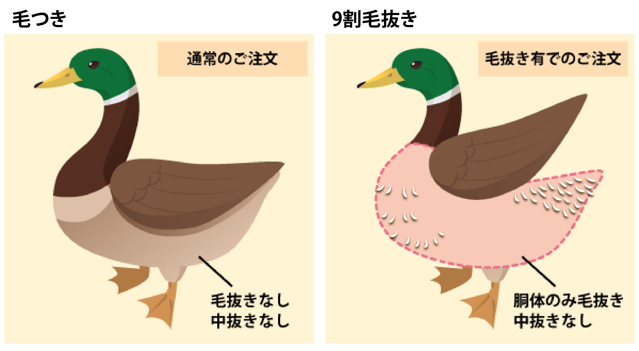 宮城鴨お届けの状態イラスト