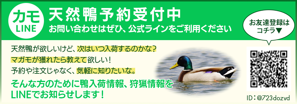 公式ライン