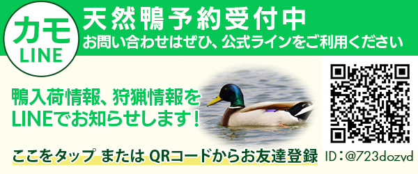 公式ライン