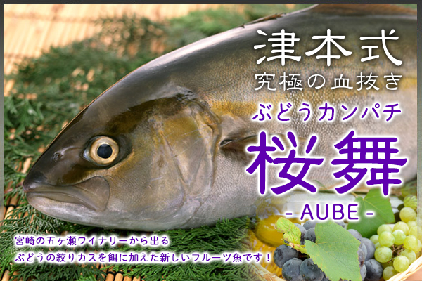 カンパチ